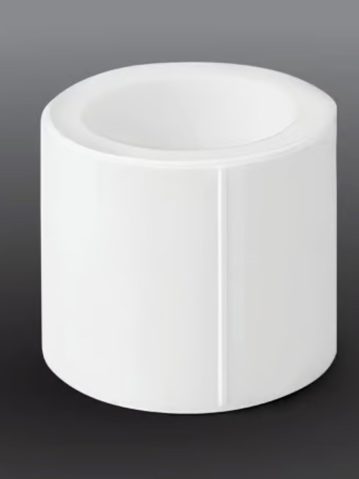 GoldTherm PPR Socket